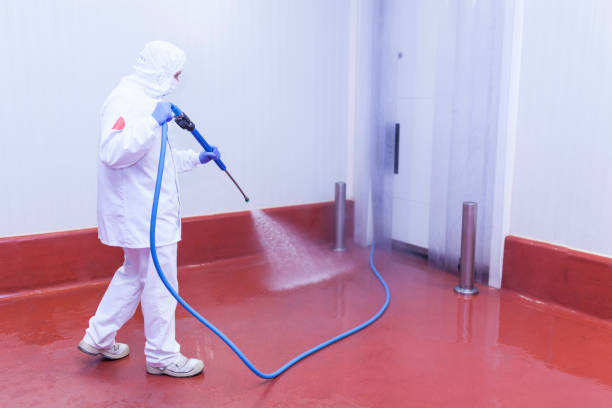 Best Spring Cleaning  in Lake Helen, FL