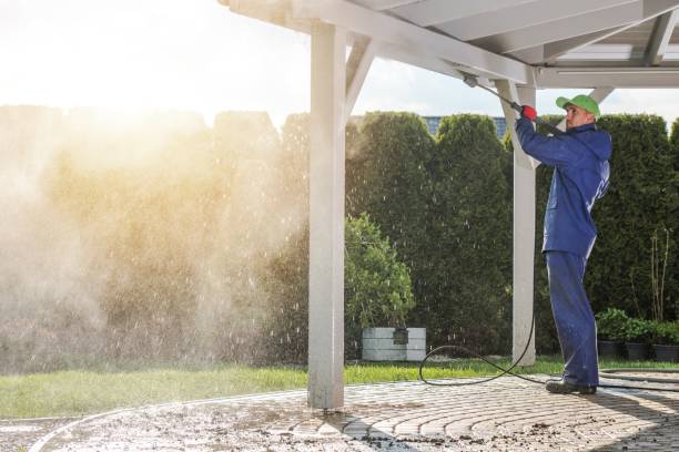 Best Roof Washing  in Lake Helen, FL